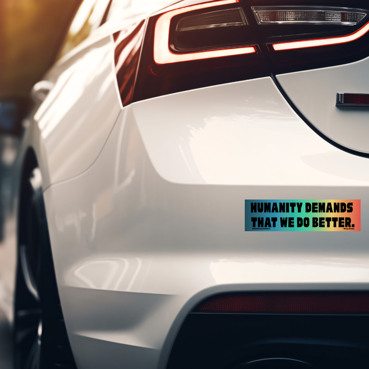 Protest bumper sticker, political quote sticker, vinyl bumper sticker, activism sticker, human rights sticker, progressive decal, resistance sticker, social justice sticker, water-resistant sticker, bold quote sticker, do better bumper sticker, inspirational vinyl sticker, car window decal, bumper sticker for activists.
