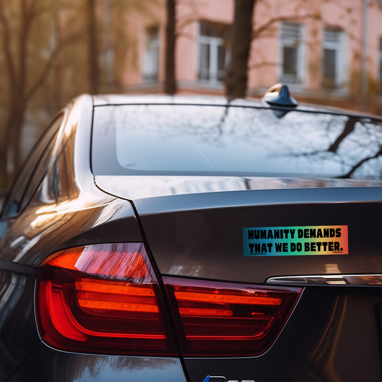 Protest bumper sticker, political quote sticker, vinyl bumper sticker, activism sticker, human rights sticker, progressive decal, resistance sticker, social justice sticker, water-resistant sticker, bold quote sticker, do better bumper sticker, inspirational vinyl sticker, car window decal, bumper sticker for activists.