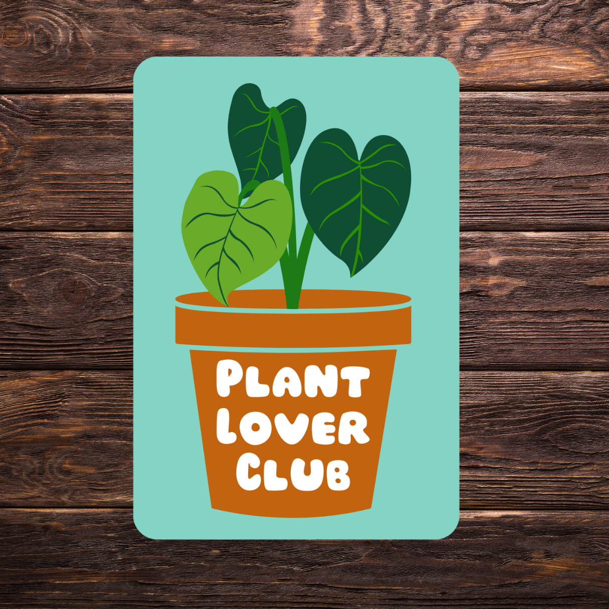 aesthetic succulent stickers Plant Lovers Sticker Bundle | Set of 4 Vinyl Stickers