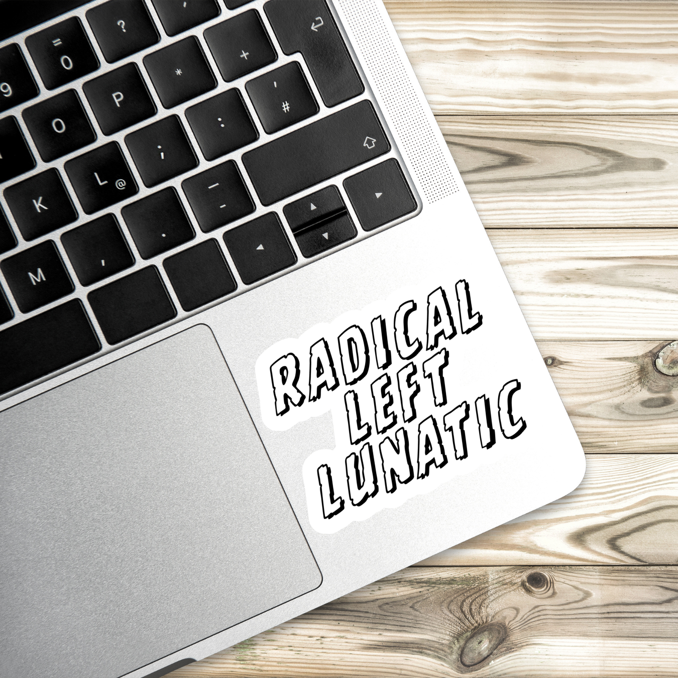 radical left sticker, progressive humor decal, ironic political sticker, red white and blue liberal sticker, funny activist sticker, water-resistant sticker, reclaim patriotism, leftist pride, hand-drawn political art, anti-right wing humor, America parody sticker, democratic socialist gift