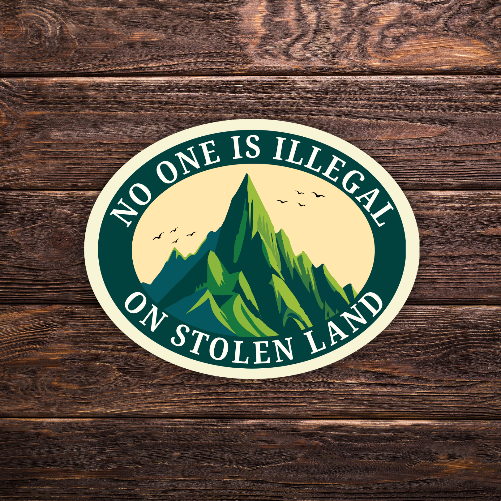 Political sticker, leftist humor sticker, radical left sticker, political satire decal, progressive activism sticker, social justice art, protest sticker, activist merch, immigration justice sticker, melt ICE sticker, abolish ICE decal, pro immigrant sticker, no one is illegal sticker, stolen land sticker, indigenous rights sticker, decolonize art, anti border sticker, liberal sarcasm sticker, political meme sticker, resistance sticker, left wing gift, activist gift idea