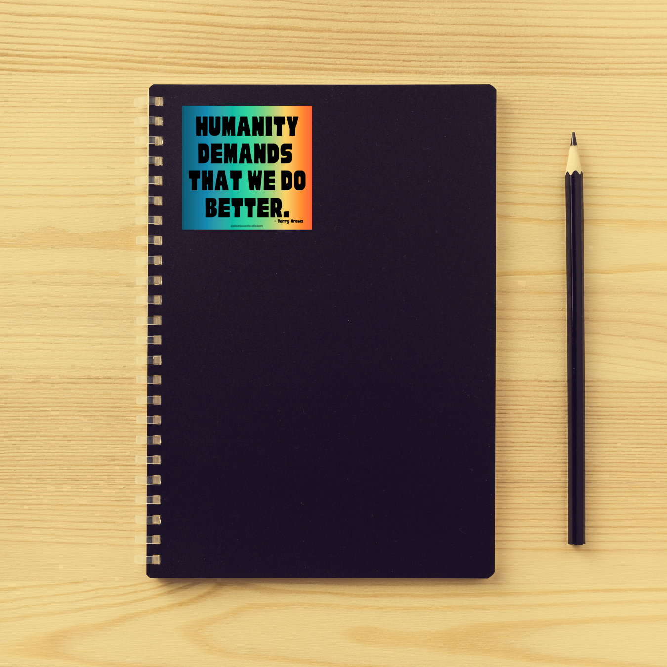 Protest sticker, political quote sticker, vinyl bumper sticker, activism sticker, human rights sticker, progressive decal, resistance sticker, social justice sticker, water-resistant sticker, bold quote sticker, do better bumper sticker, inspirational vinyl sticker, window decal, bumper sticker for activists.