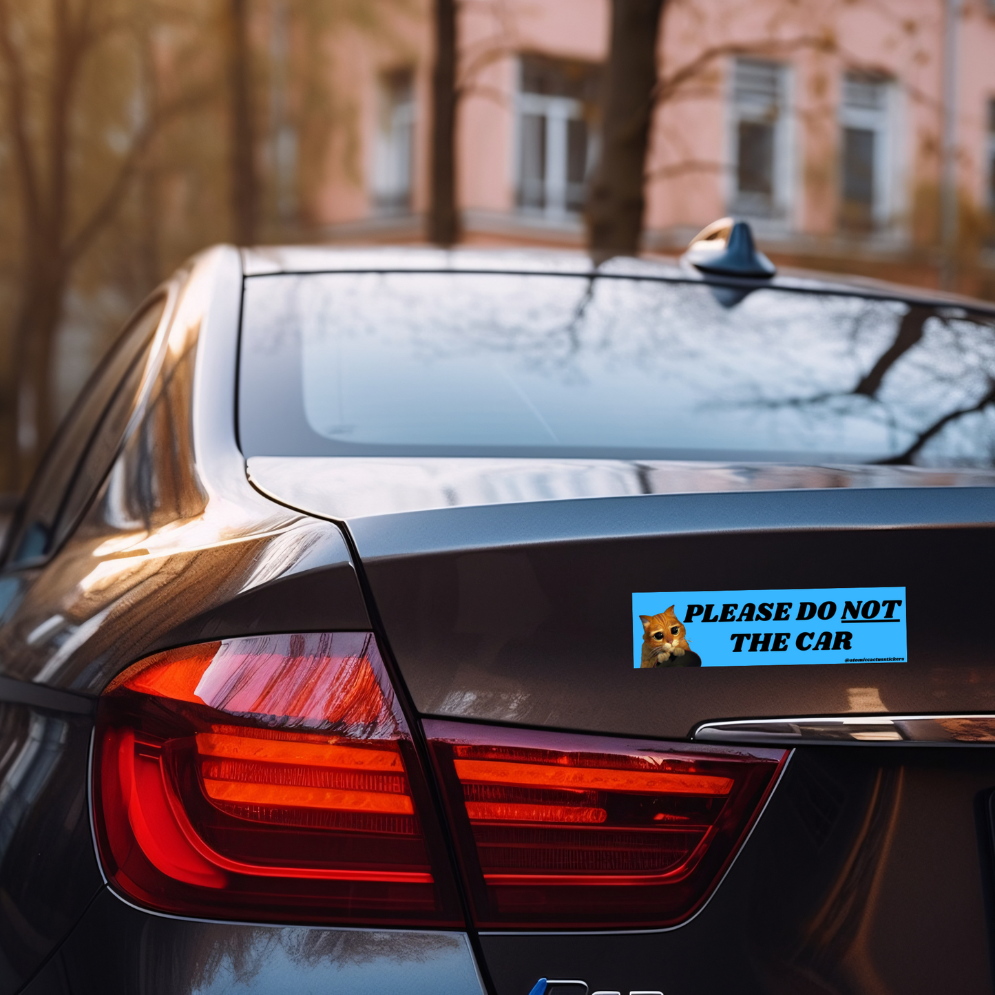 Please Do NOT the Car | Bumper Sticker | 8" X 2.20" | Water Resistant Premium Quality | Funny Meme Sticker