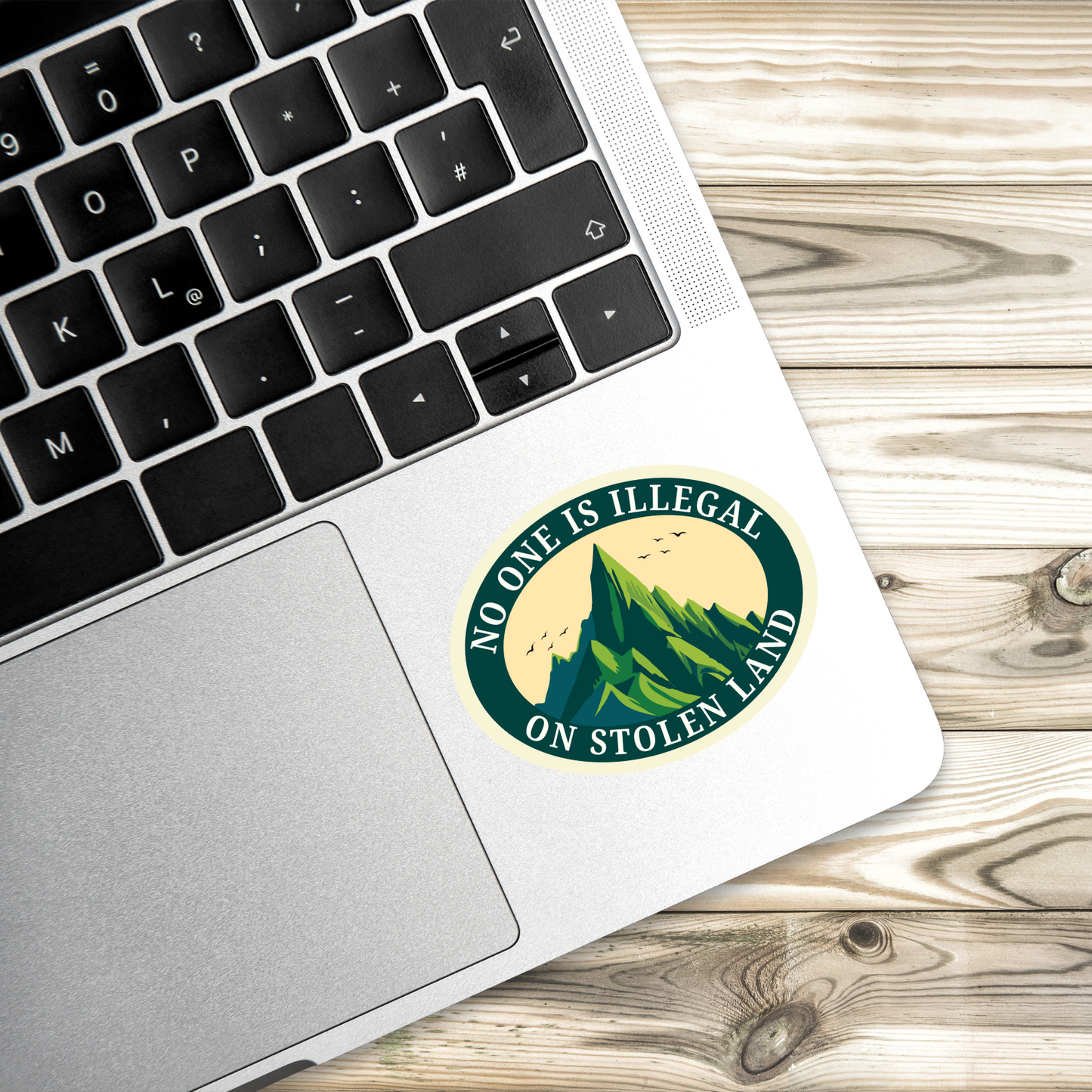 Political sticker, leftist humor sticker, radical left sticker, political satire decal, progressive activism sticker, social justice art, protest sticker, activist merch, immigration justice sticker, melt ICE sticker, abolish ICE decal, pro immigrant sticker, no one is illegal sticker, stolen land sticker, indigenous rights sticker, decolonize art, anti border sticker, liberal sarcasm sticker, political meme sticker, resistance sticker, left wing gift, activist gift idea